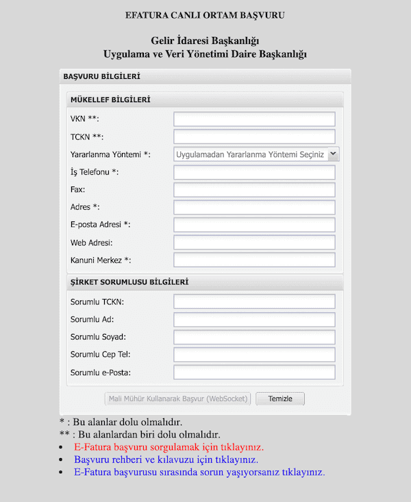 e-Fatura Canlı Ortam Başvuru Ekranı